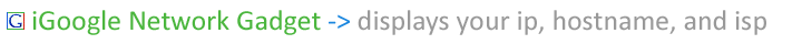 iGoogle Network Gadget -> displays your ip, hostname, and isp